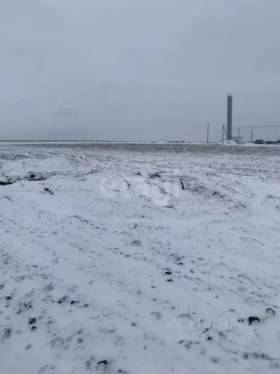 Участок в Белгородская область, Белгородский район, Головинское с/пос, ... - Фото 1