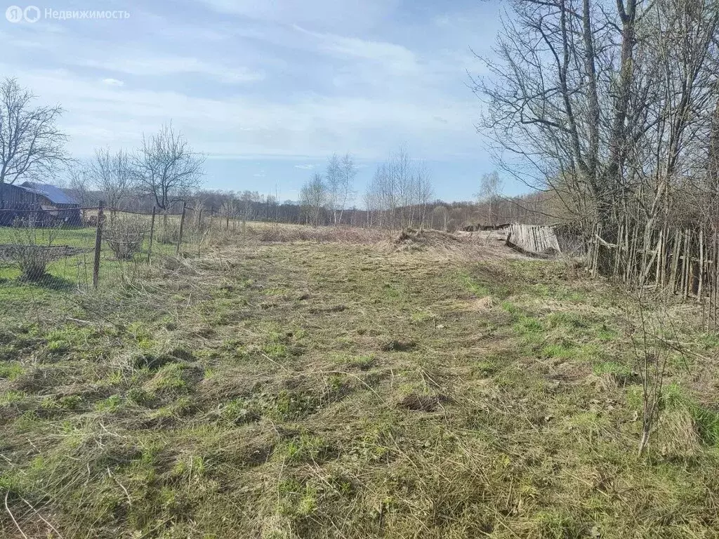 Участок в Московская область, городской округ Коломна, деревня ... - Фото 2