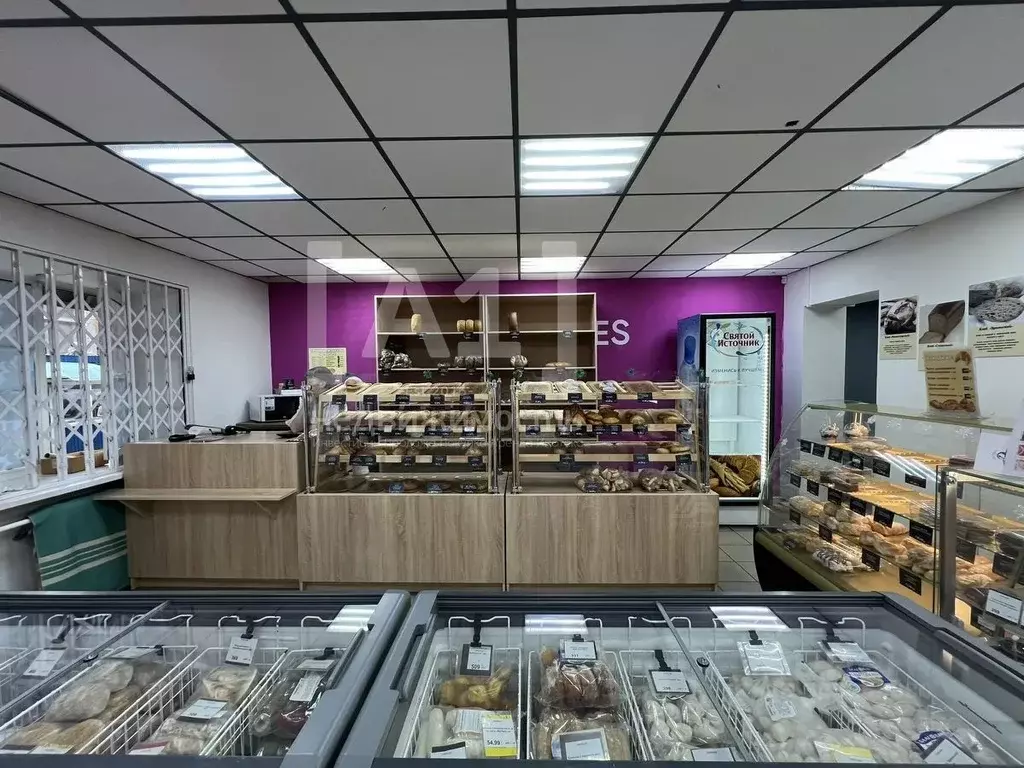 Помещение свободного назначения в Челябинская область, Челябинск ... - Фото 2