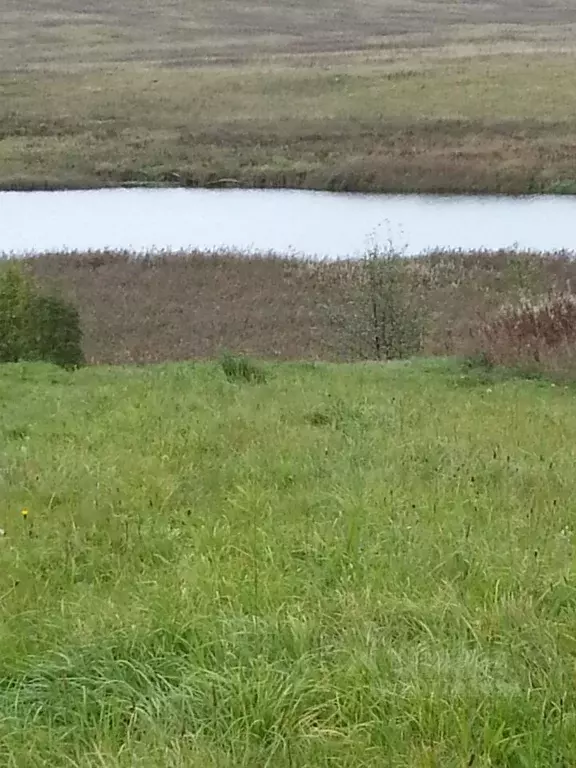 участок в тверская область, кашинский городской округ, д. ратчино . - Фото 1