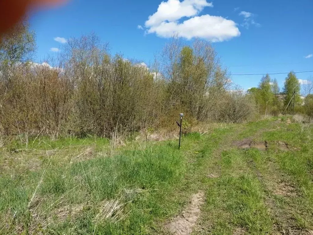 Участок в Вологодская область, Череповецкий район, д. Новое Домозерово ... - Фото 1
