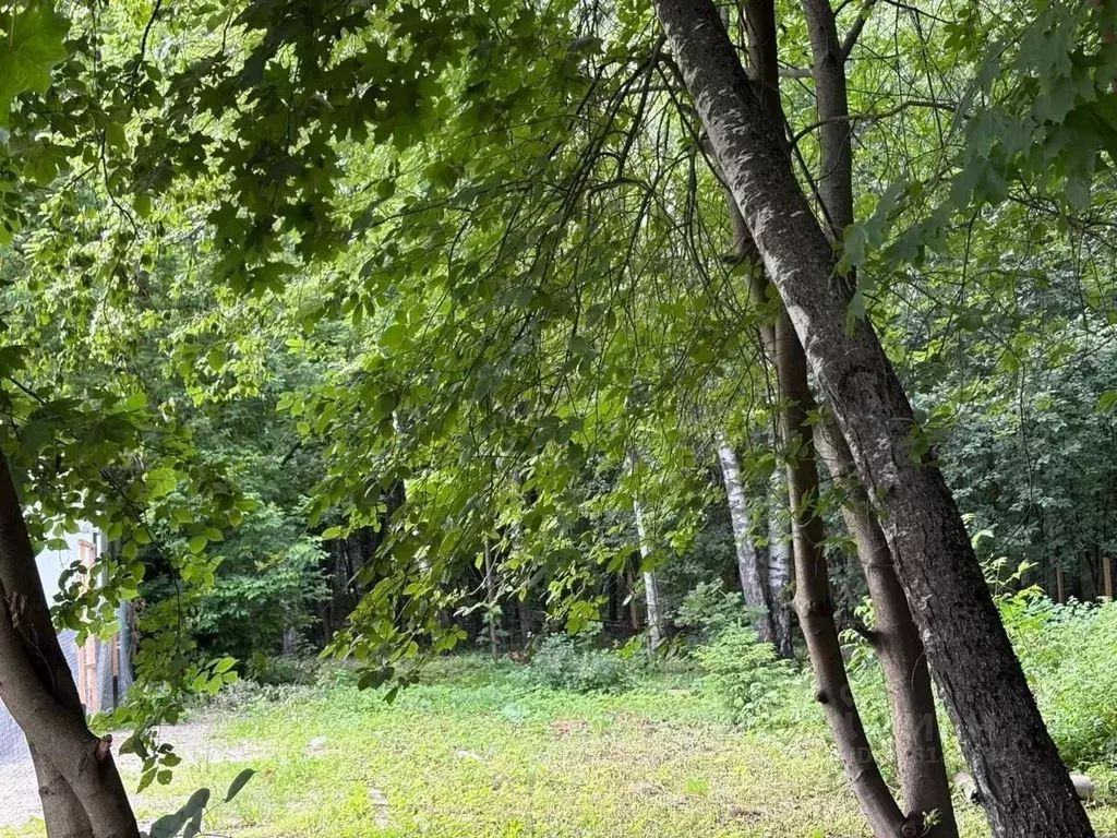 Участок в Московская область, Балашиха Никольско-Архангельский мкр, ... - Фото 1