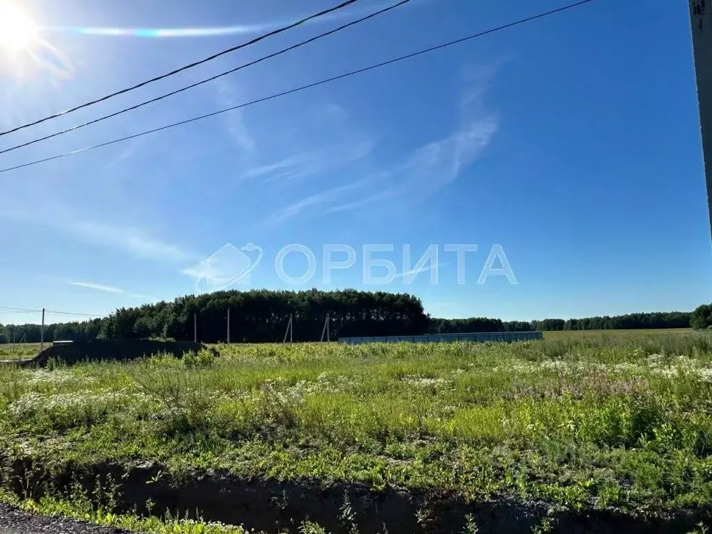 Участок в Тюменская область, Тюменский район, с. Кулига  (8.0 сот.) - Фото 1