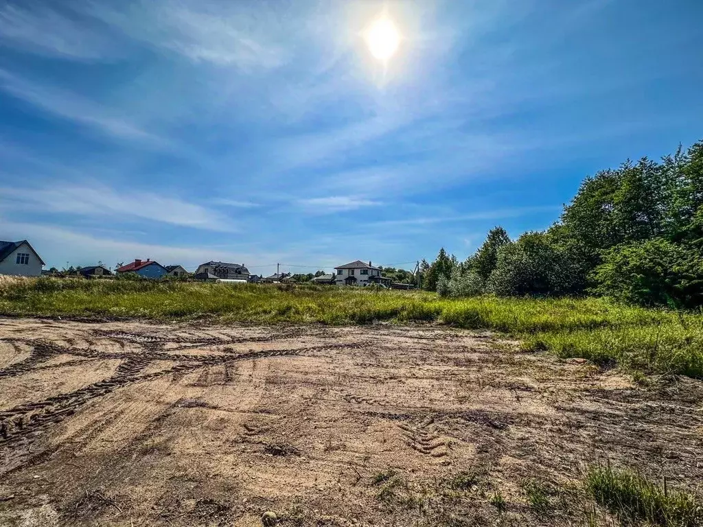 Участок в Калининградская область, Зеленоградский муниципальный округ, ... - Фото 1