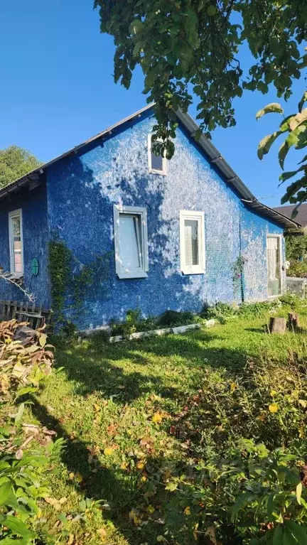 Дом в Новгородская область, Новгородский район, Панковское городское ... - Фото 2