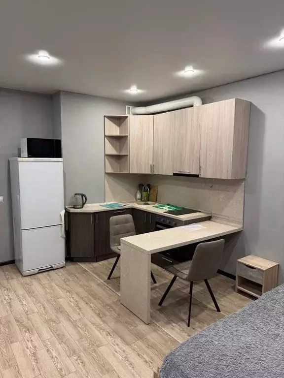 Студия Красноярский край, Красноярск ул. Петра Подзолкова, 26 (33.0 м) - Фото 1