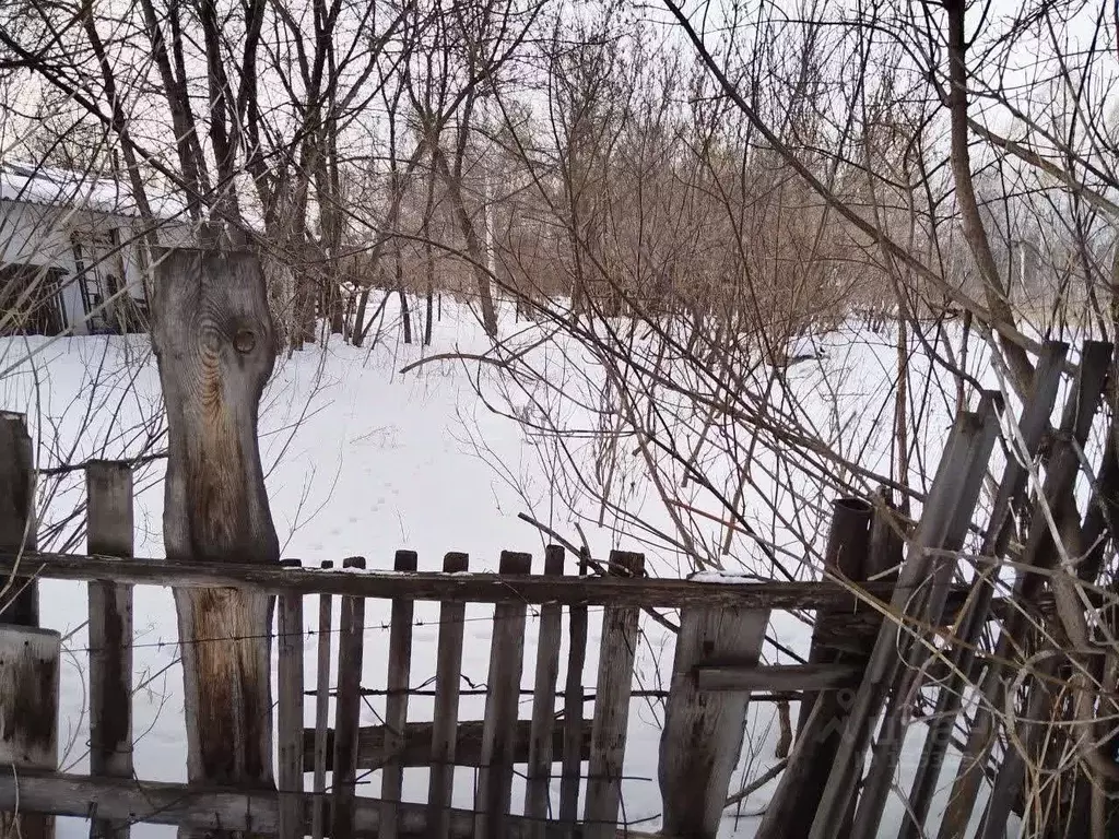 Участок в Алтайский край, Барнаул городской округ, Поселок Борзовая ... - Фото 1