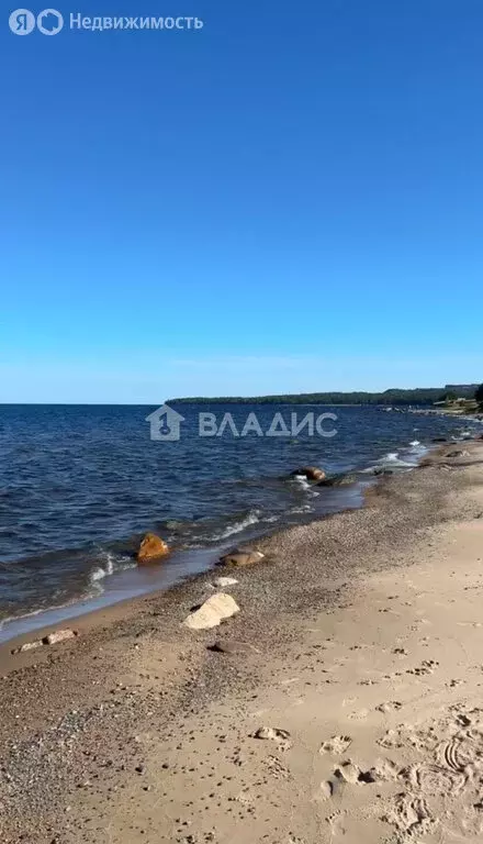 Участок в Прионежский район, Рыборецкое сельское поселение, село ... - Фото 0