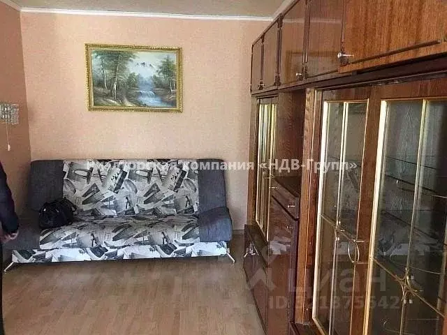2-к кв. Хабаровский край, Хабаровск ул. Нагишкина, 2 (43.0 м) - Фото 1
