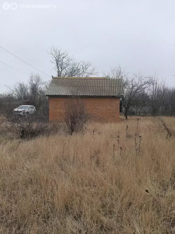 Дом в Волгодонск, СНТ Волгодонский Садовод, 288Ж (20 м) - Фото 1