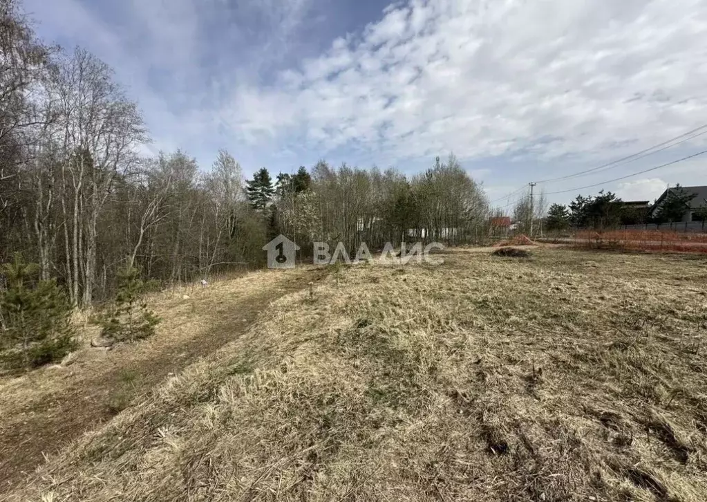 Участок в Ленинградская область, Всеволожский район, Юкковское с/пос, ... - Фото 2