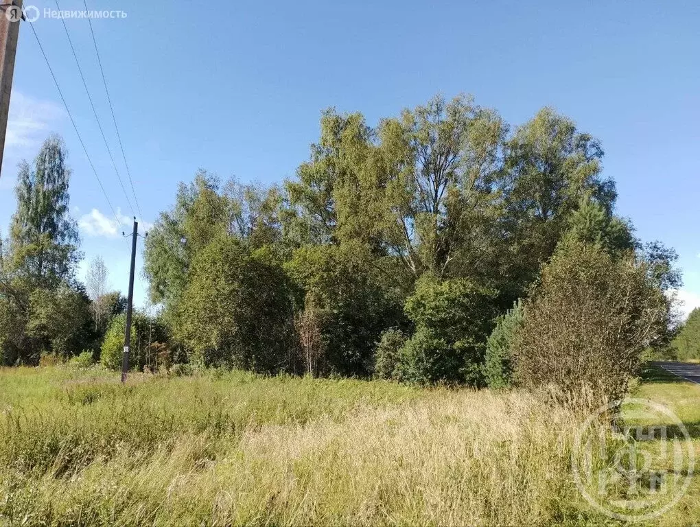 Участок в Волошовское сельское поселение, деревня Затрубичье (22 м) - Фото 1