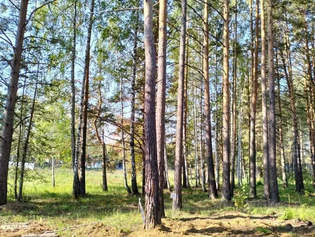 Участок в Свердловская область, Сысертский городской округ, пос. ... - Фото 0