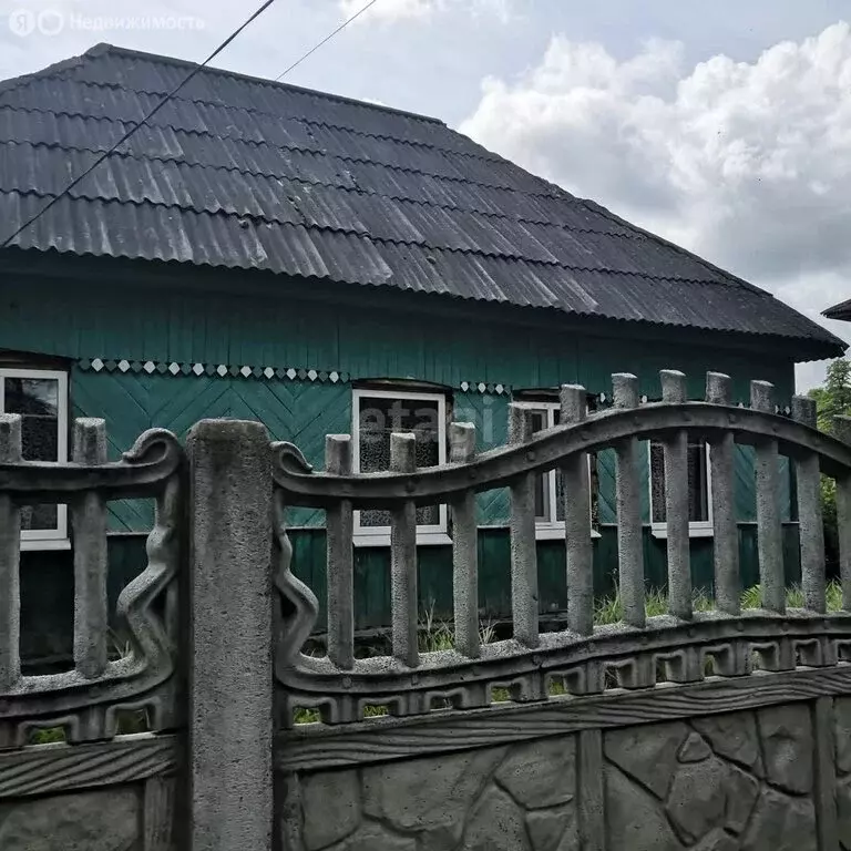 Дом в деревня Березино, Партизанская улица, 82 (104 м) - Фото 0
