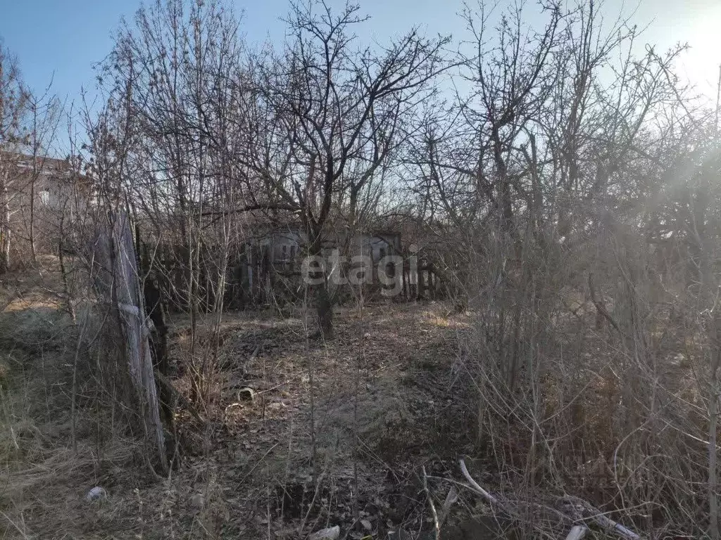 Участок в Ульяновская область, Ульяновск Южный СНТ,  (4.0 сот.) - Фото 0
