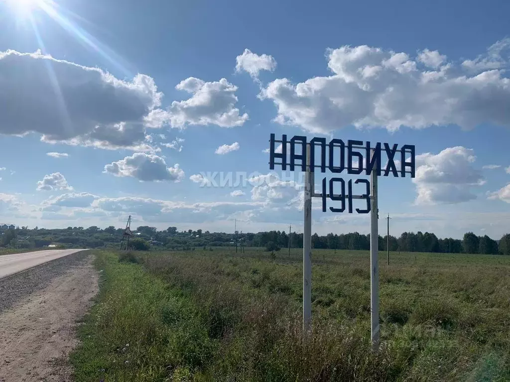 Дом в Алтайский край, Косихинский район, с. Налобиха Зеленая ул. (150 ... - Фото 0