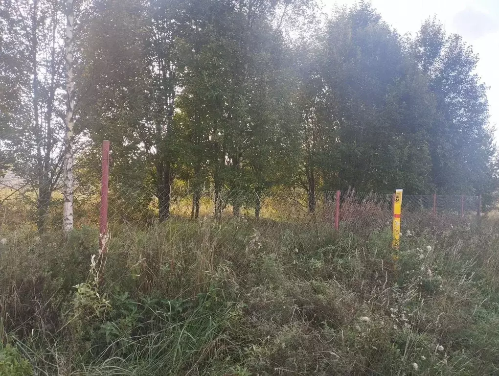 Участок в Ленинградская область, Кировский район, Мгинское городское ... - Фото 0