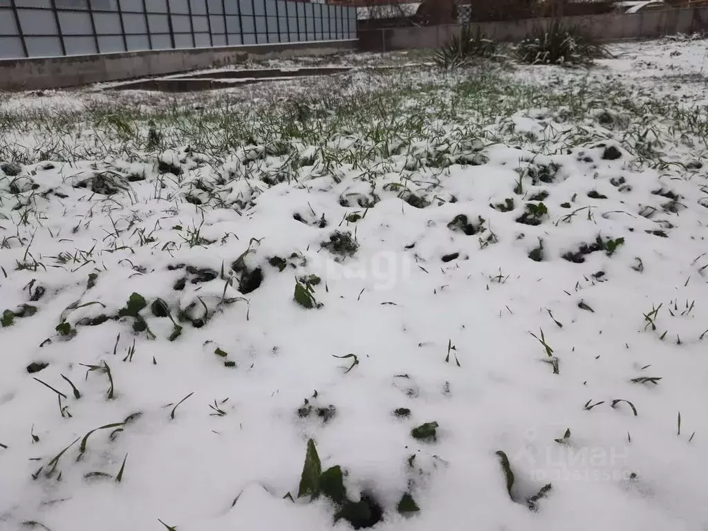 Участок в Краснодарский край, Ейск Каштановая ул. (8.0 сот.) - Фото 1