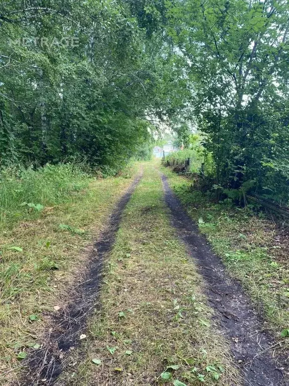 Участок в Новосибирская область, Мошковский район, с. Дубровино ... - Фото 1