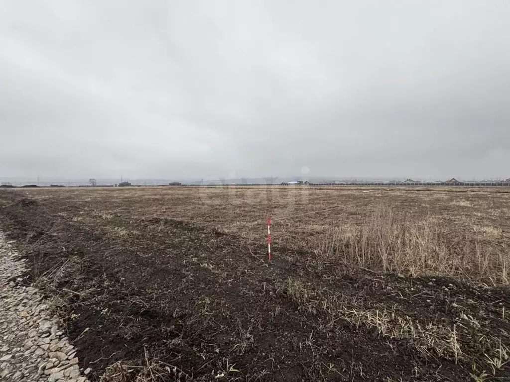 Участок в Мордовия, Лямбирский район, Берсеневское с/пос, Альтерра кп  ... - Фото 1