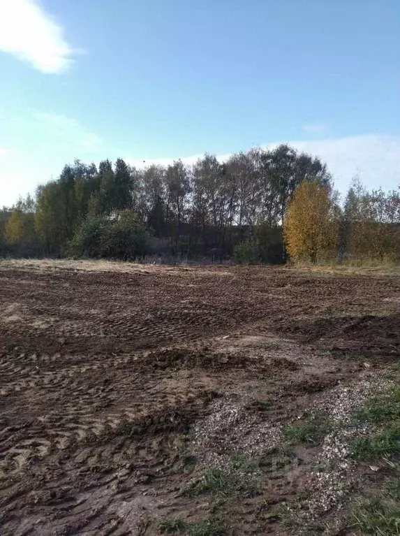 Участок в Московская область, Коломна городской округ, д. Паново  ... - Фото 0