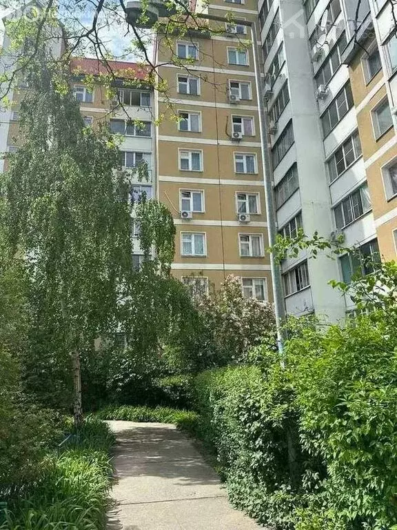 1-комнатная квартира: Воронеж, Московский проспект, 137 (41.5 м) - Фото 1
