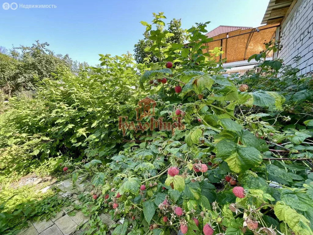 Участок в Александров, улица Нахимова, 11 (7.7 м) - Фото 2