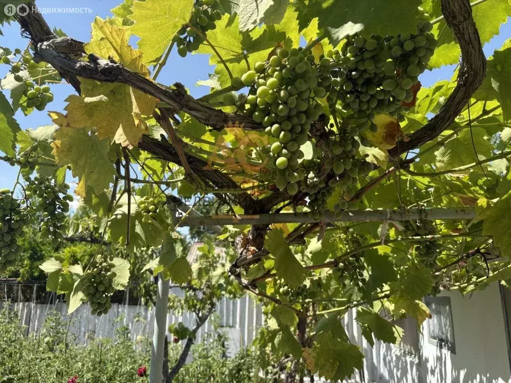 Дом в Феодосия, улица Гарнаева, 29 (72.9 м) - Фото 1