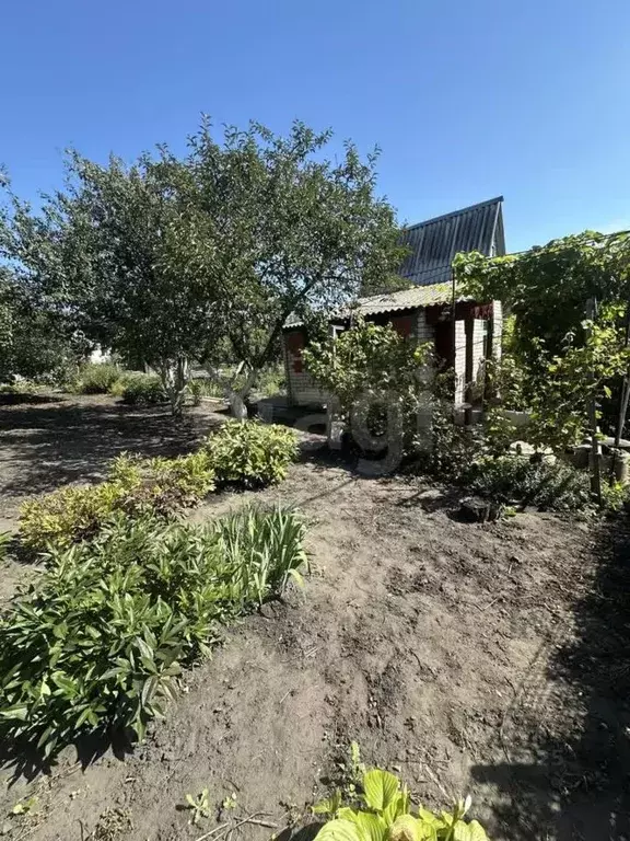 Дом в Белгородская область, Белгородский район, Стрелецкое с/пос, ... - Фото 2