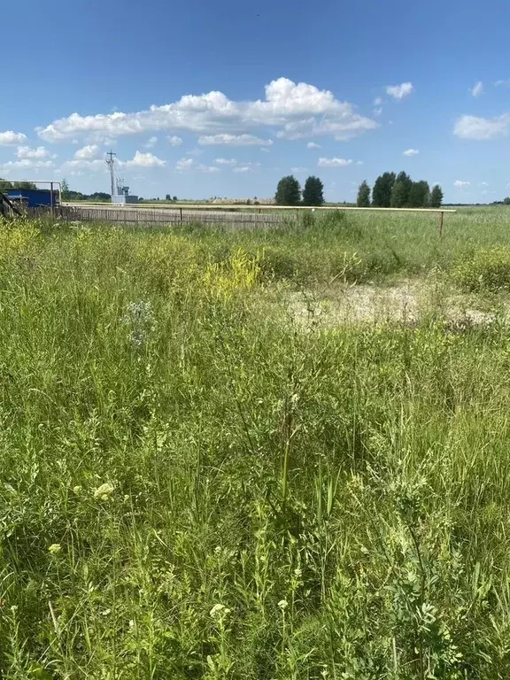 Участок в Новосибирская область, Новосибирский район, Криводановский ... - Фото 0