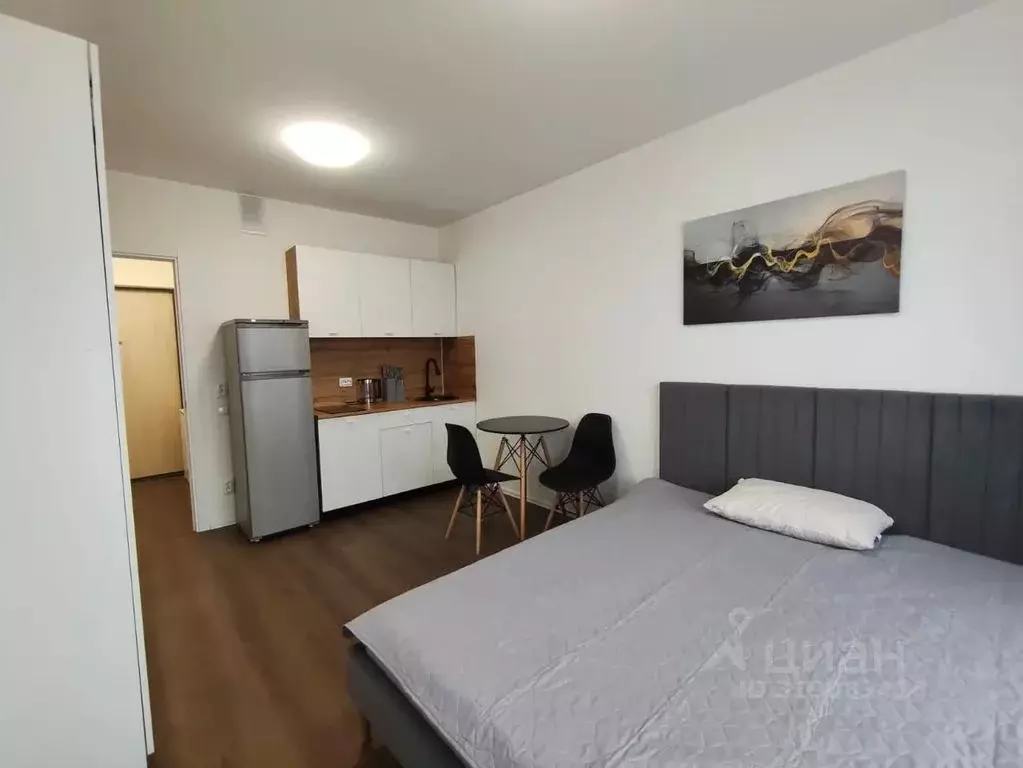 Студия Санкт-Петербург ул. Пейзажная, 24к3 (30.0 м) - Фото 0