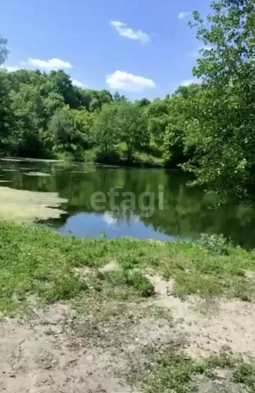 Участок в Саратовская область, Лысогорский район, Большедмитриевское ... - Фото 1