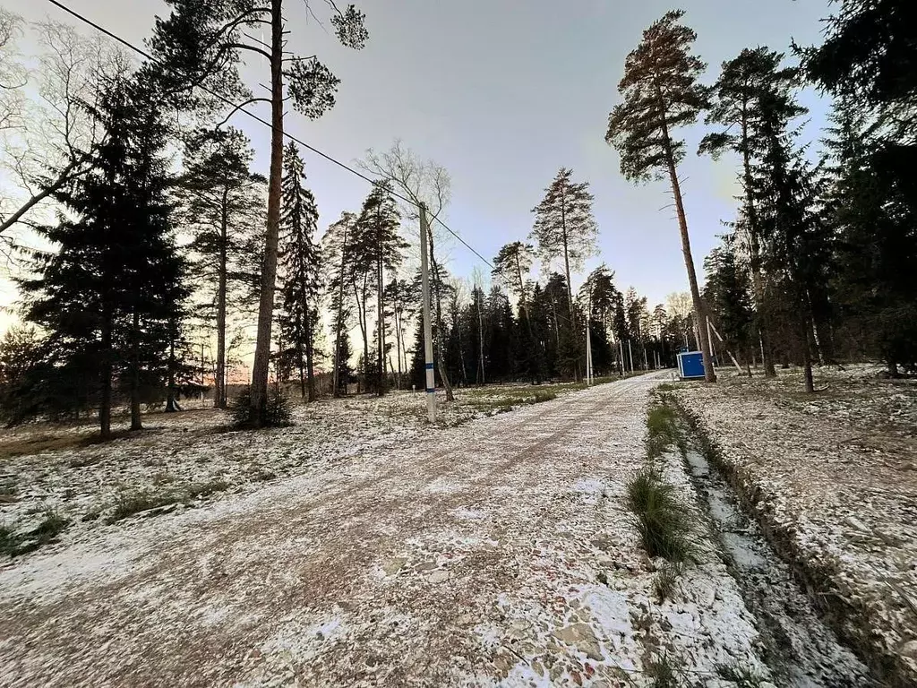 Участок в Московская область, Щелково городской округ, Литвиново ... - Фото 2