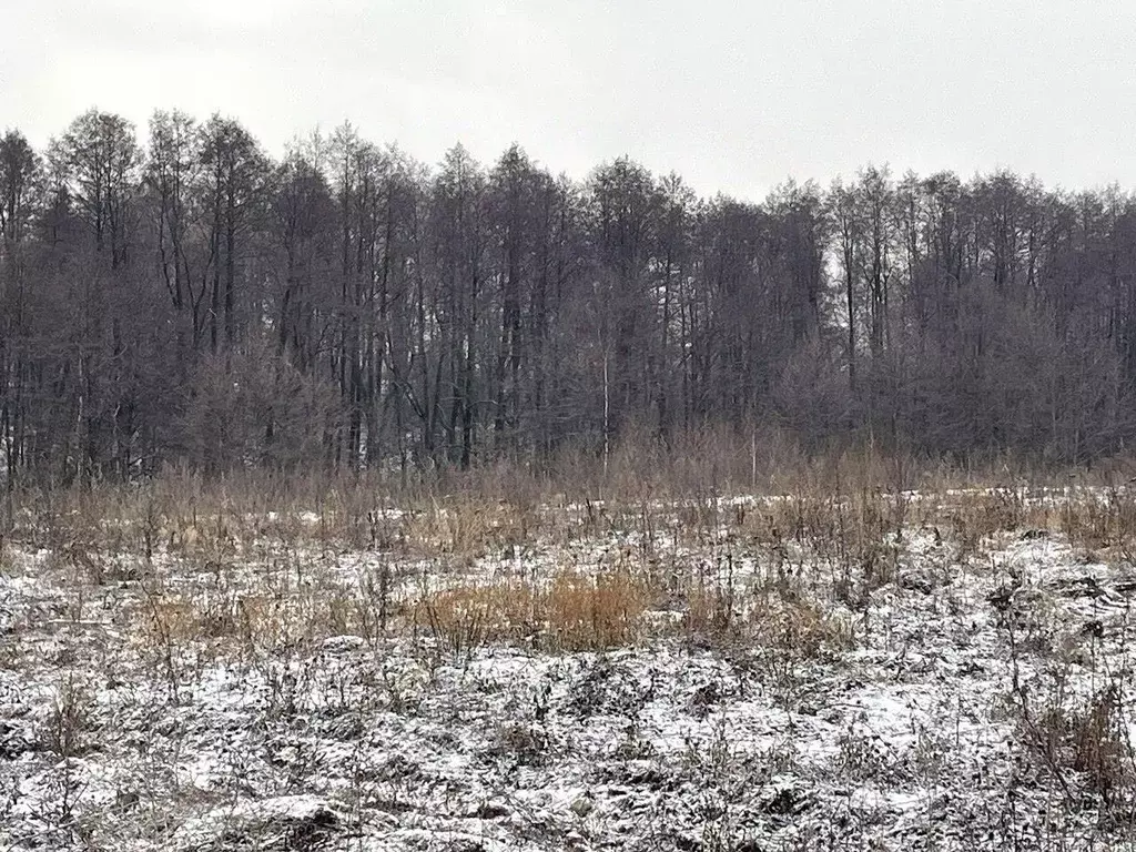 Участок в Московская область, Бронницы  (10.0 сот.) - Фото 0
