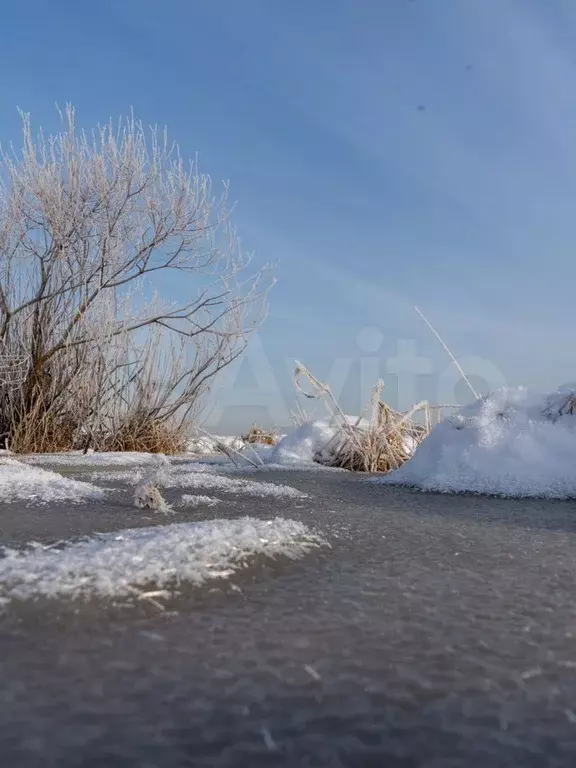 Участок 10 сот. (ИЖС) - Фото 1