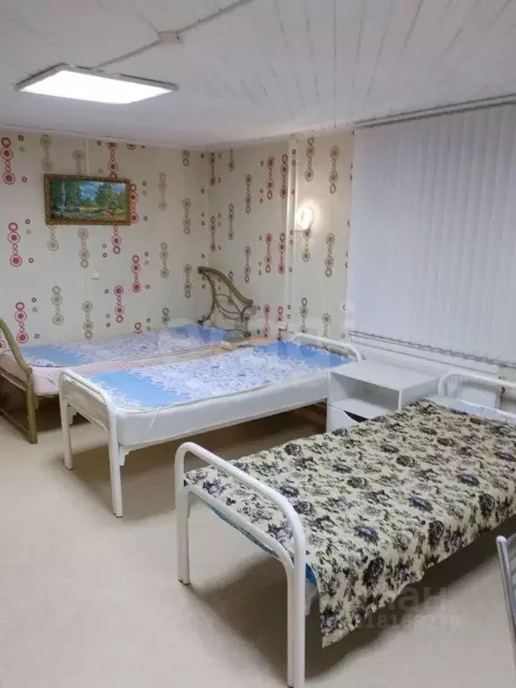 Помещение свободного назначения в Брянская область, Брянск Донской ... - Фото 2