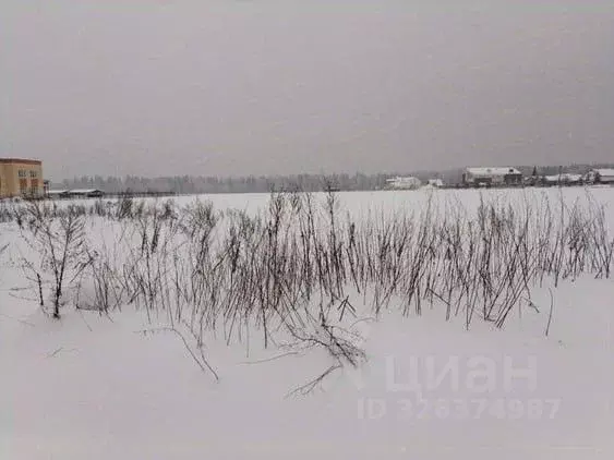 Участок в Московская область, Черноголовка пер. Новосельский (6.72 ... - Фото 1