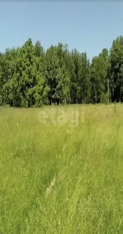 Участок в Башкортостан, Уфимский район, Михайловский сельсовет, д. ... - Фото 2