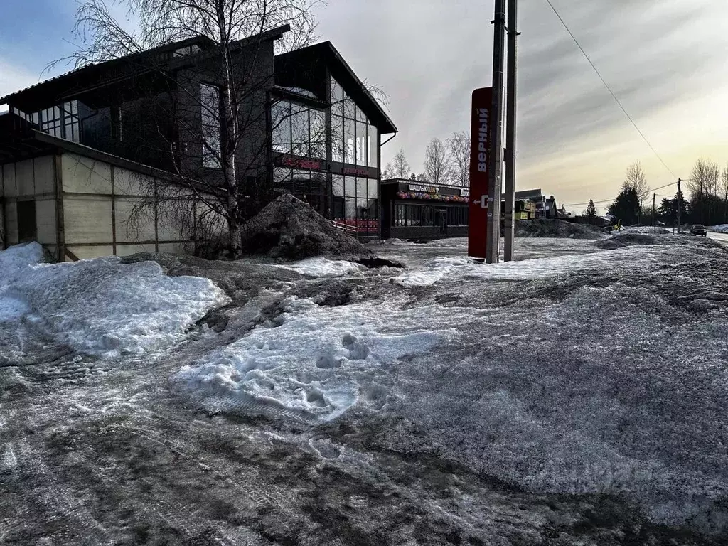 Помещение свободного назначения в Ленинградская область, Всеволожский ... - Фото 0