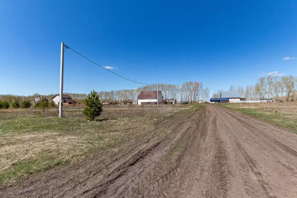 Участок в Алтайский край, Павловский район, пос. Новые зори Молодежная ... - Фото 1