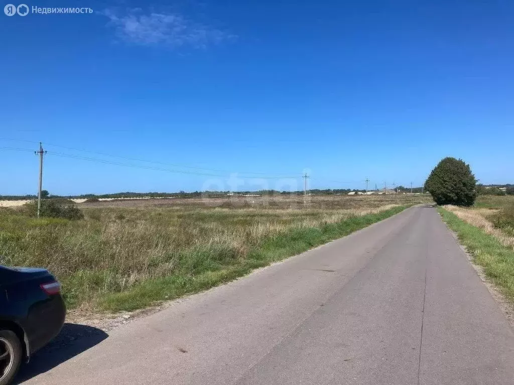 Участок в Калининградская область, Зеленоградский муниципальный округ, ... - Фото 1