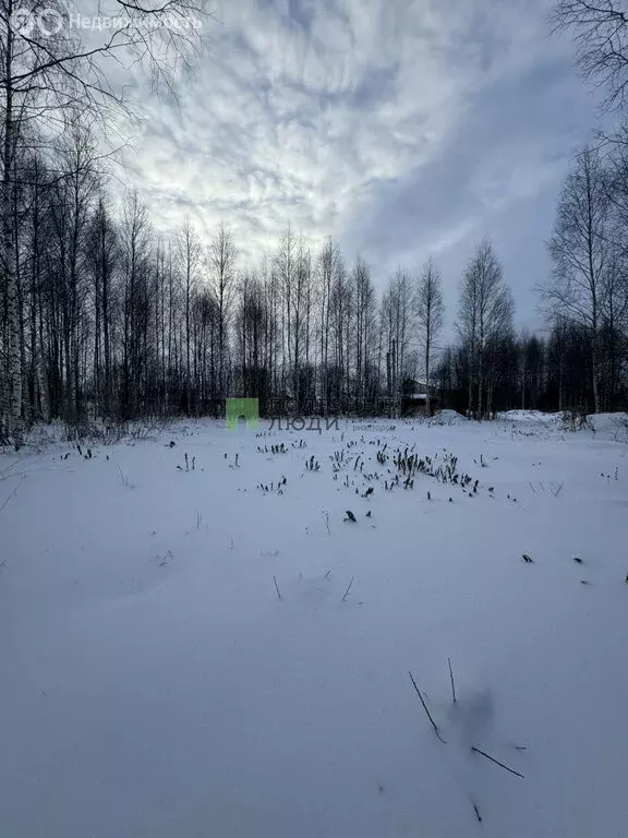 Участок в Завьяловский район, деревня Шудья, КП Тихие зори, ... - Фото 1