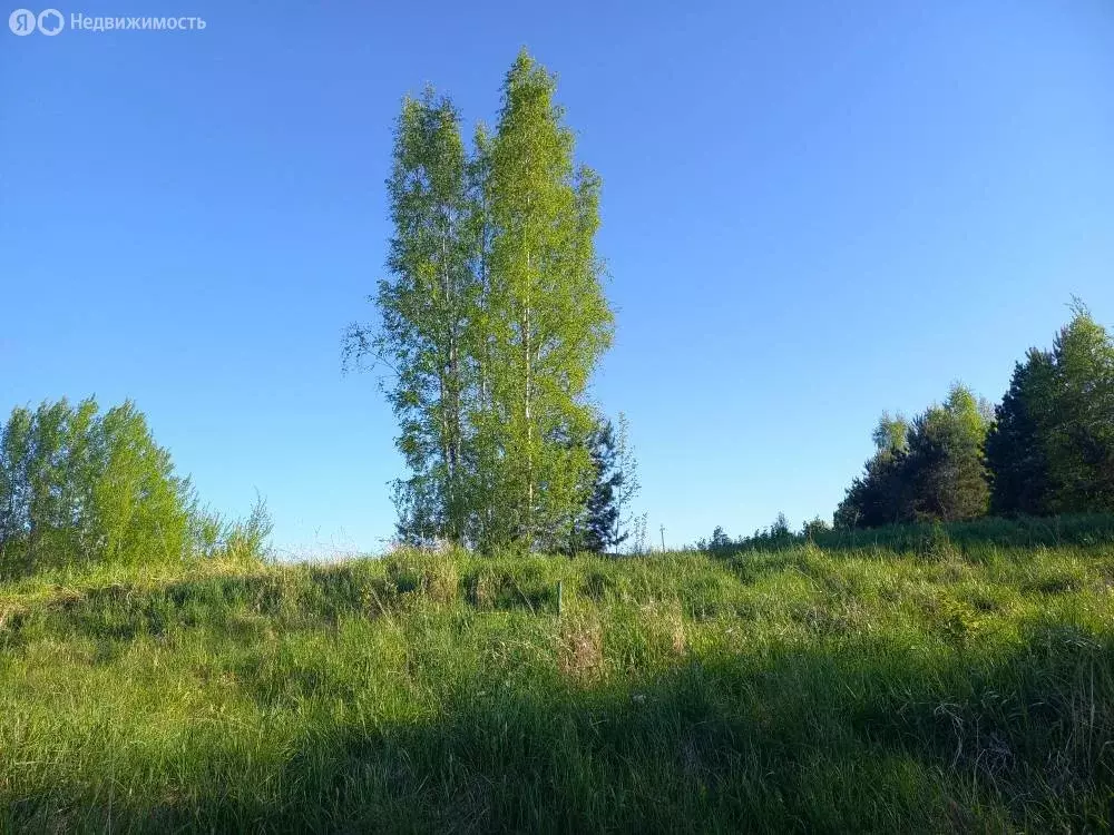 Участок в Псковская область, Печорский муниципальный округ, деревня ... - Фото 0