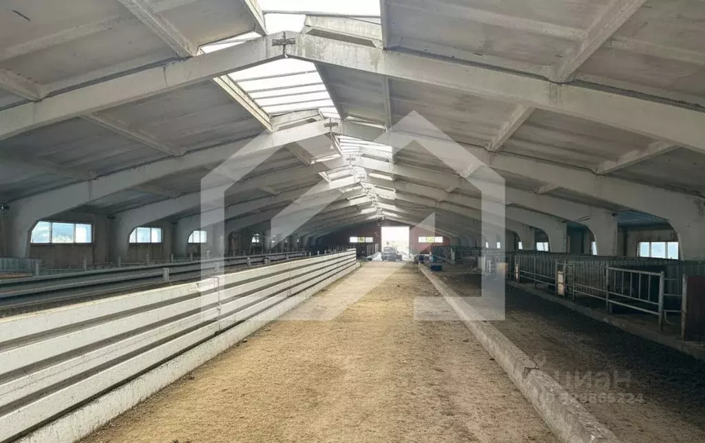 Помещение свободного назначения в Московская область, Талдомский ... - Фото 2