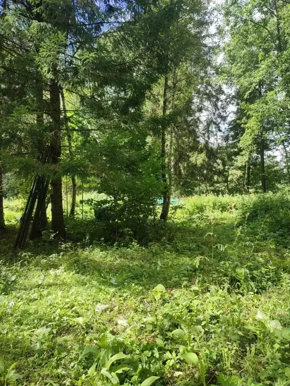 Участок в Московская область, Наро-Фоминский городской округ, Фианит ... - Фото 2