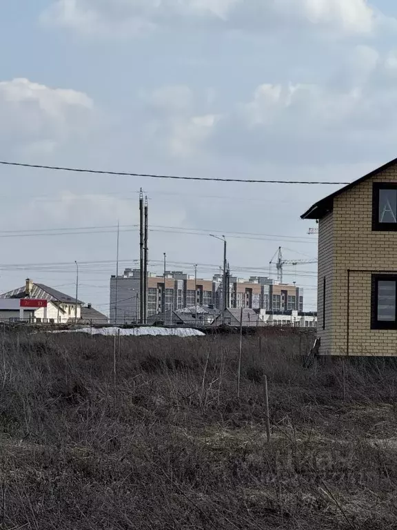Участок в Тамбовская область, Тамбовский муниципальный округ, д. ... - Фото 1
