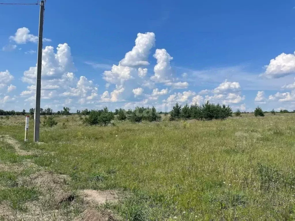 Участок в Белгородская область, Старооскольский городской округ, с. ... - Фото 0