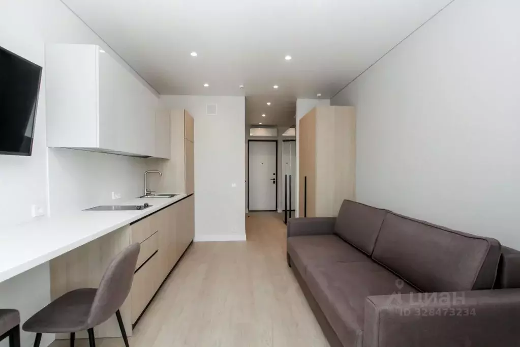 Студия Свердловская область, Екатеринбург ул. Шаумяна, 24 (22.0 м) - Фото 1