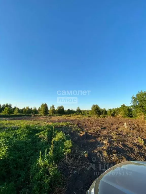 Участок в Марий Эл, Медведевский район, Пекшиксолинское с/пос, пос. ... - Фото 1