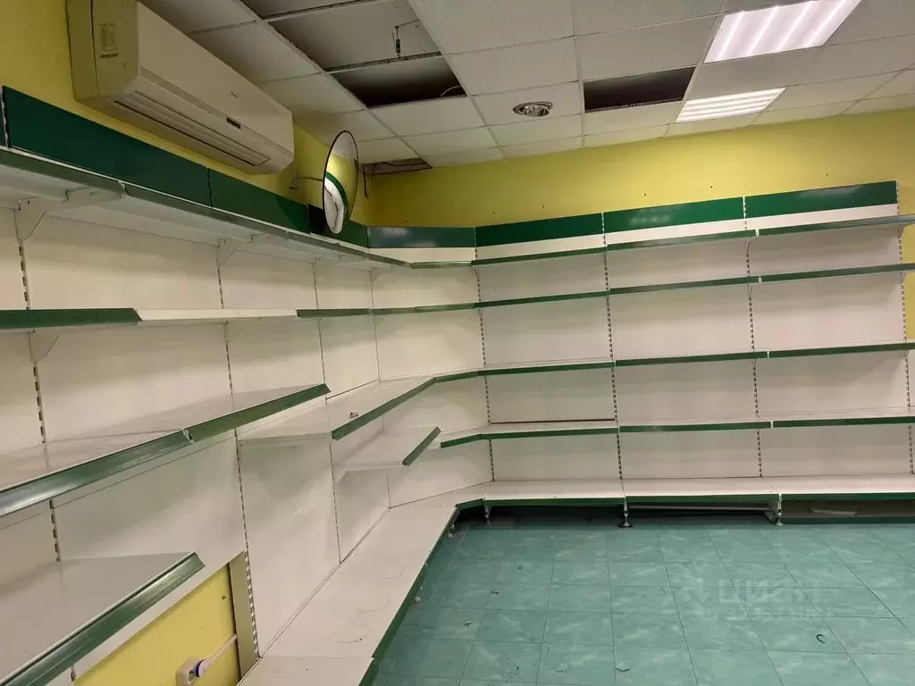 Помещение свободного назначения в Самарская область, Сергиевский ... - Фото 1